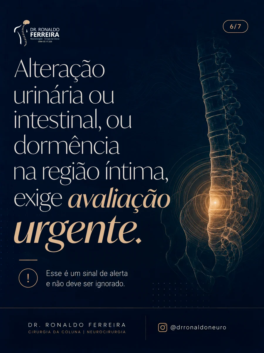 Guia educativo sobre dor na coluna — página 6